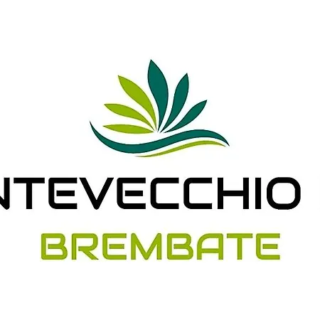 住宿加早餐酒店 Pontevecchio 3*